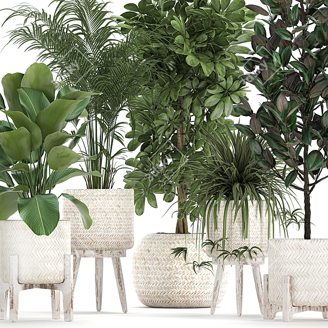 Exotic Plant Collection in Rattan Baskets 3D model image 3