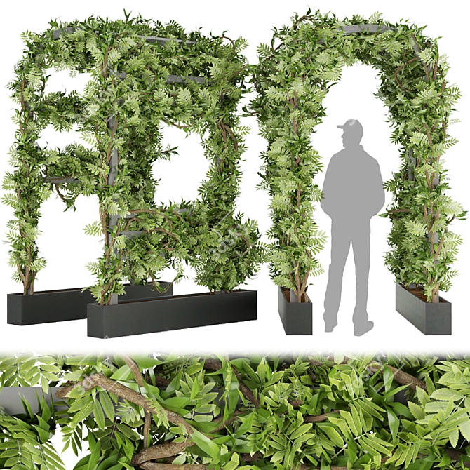 Botanical Bliss: Volume 29 3D model image 1
