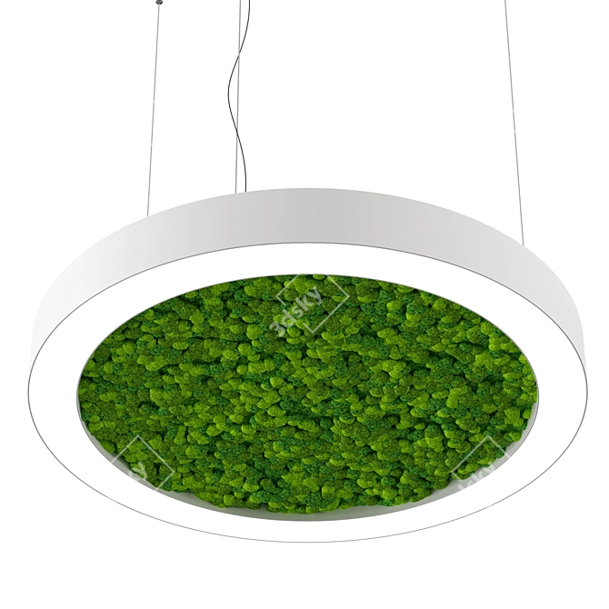 Moss OM Bone Light Ring 3D model image 3