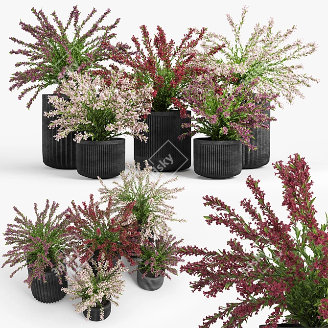 Cozzo Weigela Planter 3D model image 1