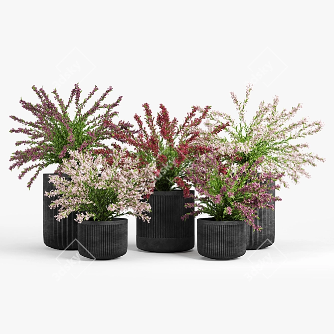 Cozzo Weigela Planter 3D model image 4