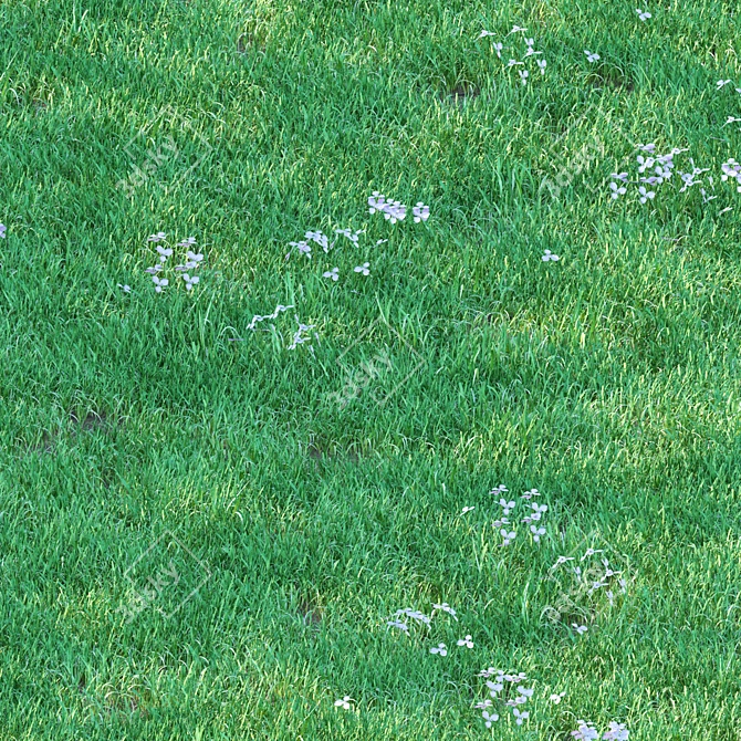 Luscious 5cm Grass for Landscapes 3D model image 1