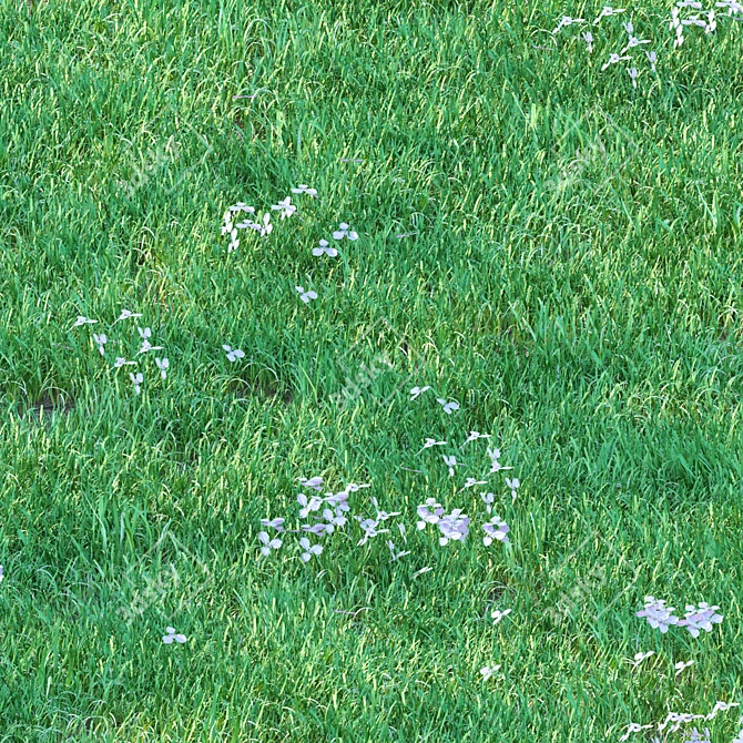 Luscious 5cm Grass for Landscapes 3D model image 2