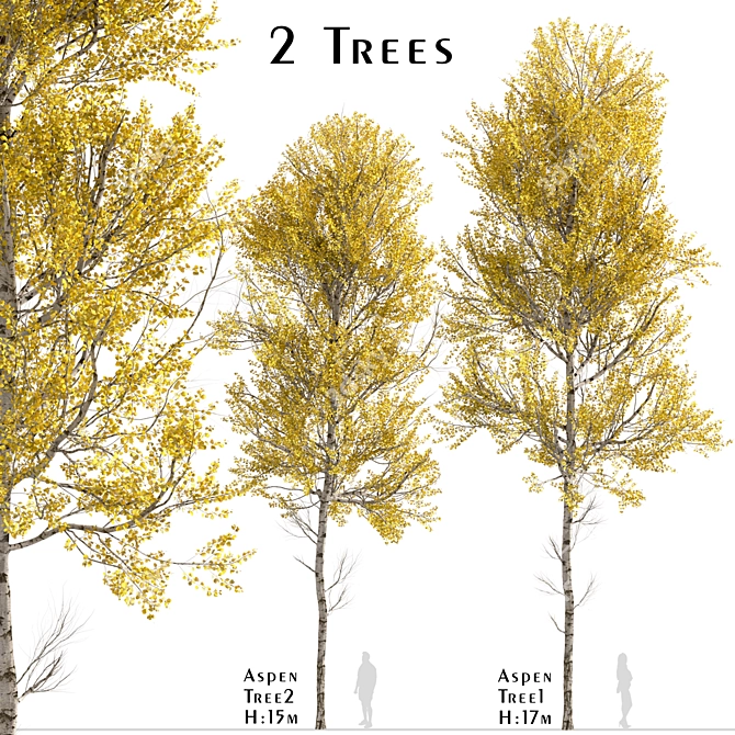 Quaking Aspen Trees (2-Piece Set) 3D model image 2