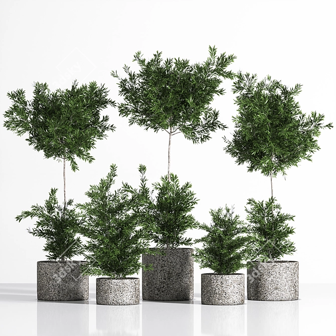 Premium Outdoor Plants Tree: Stunning 2015 Version 3D model image 1