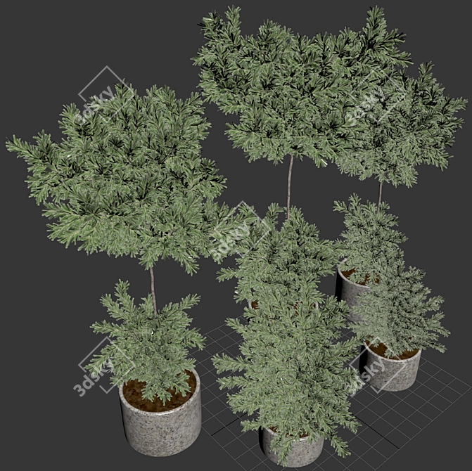 Premium Outdoor Plants Tree: Stunning 2015 Version 3D model image 5