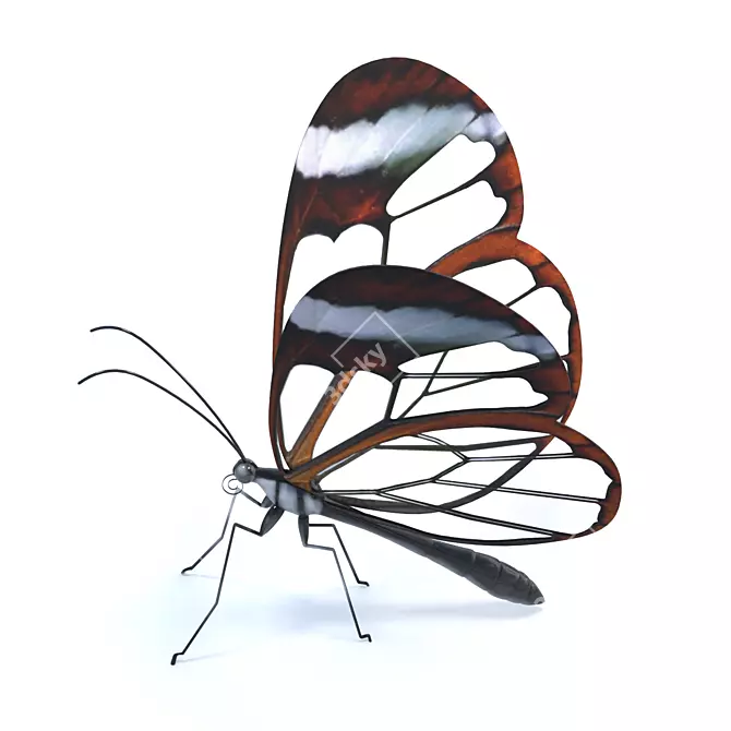 Ethereal GlassWing Beauty 3D model image 2