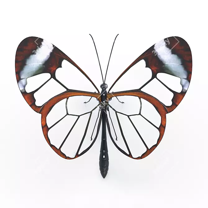 Ethereal GlassWing Beauty 3D model image 3