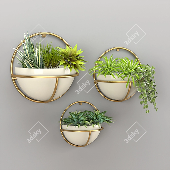 Leafy Greens Plant Set 3D model image 2