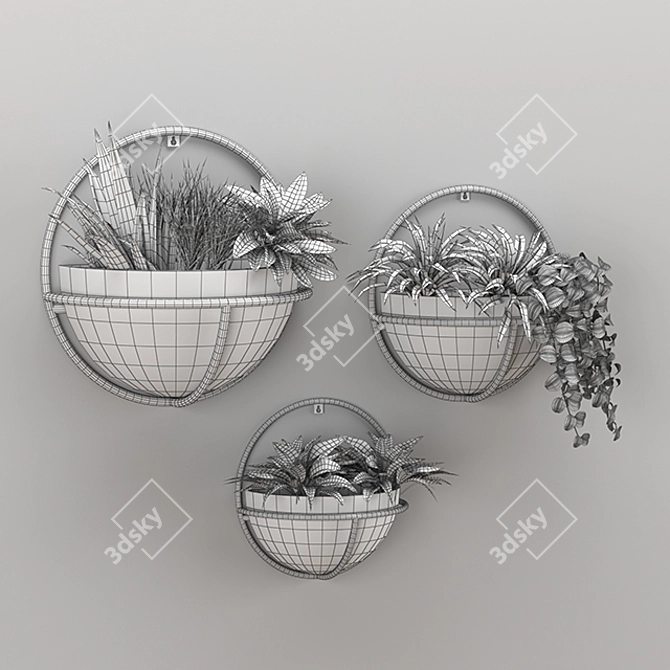 Leafy Greens Plant Set 3D model image 3