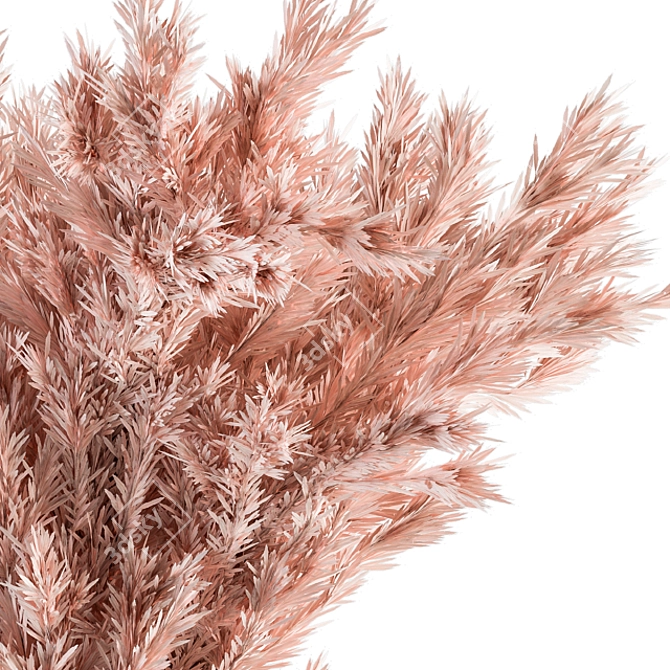 Pink Pampas Dry Plants 3D model image 4