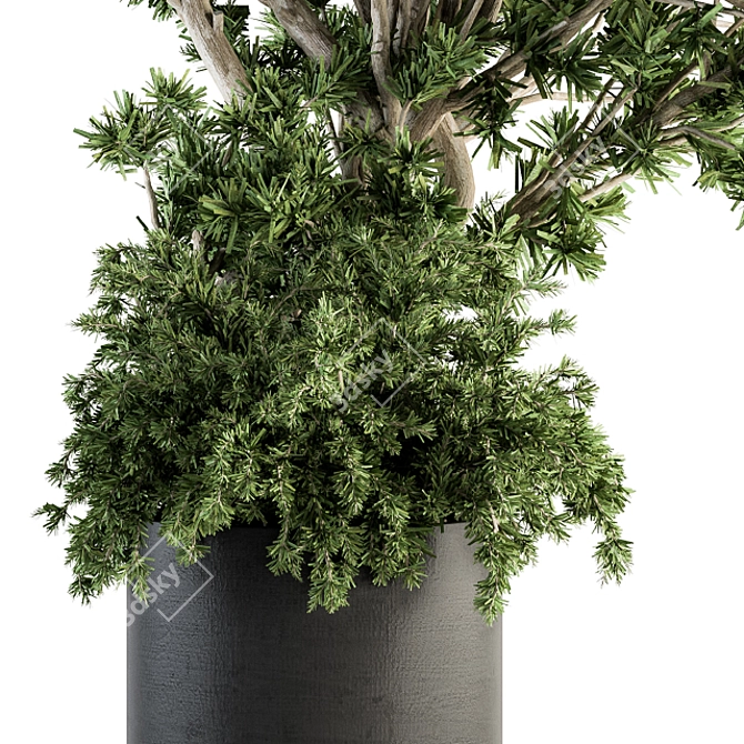 Concrete Pot Outdoor Tree Set 3D model image 2