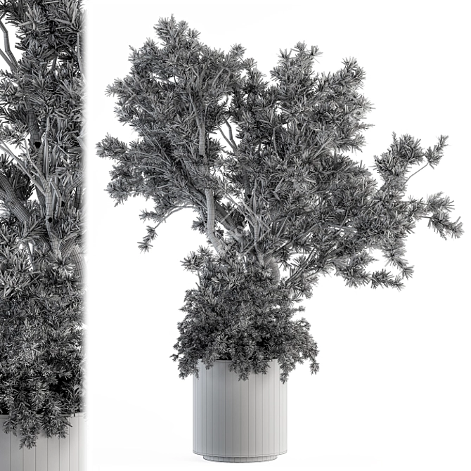 Concrete Pot Outdoor Tree Set 3D model image 4