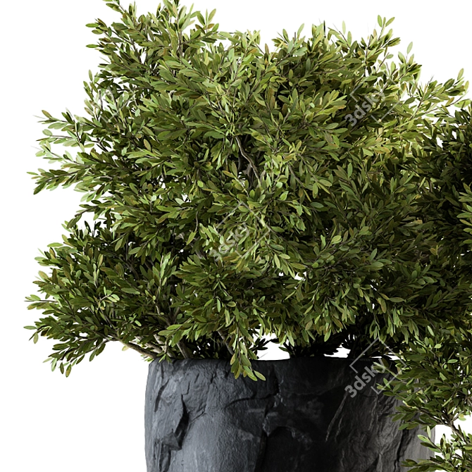 Rock Pot Outdoor Tree Set 136 3D model image 3