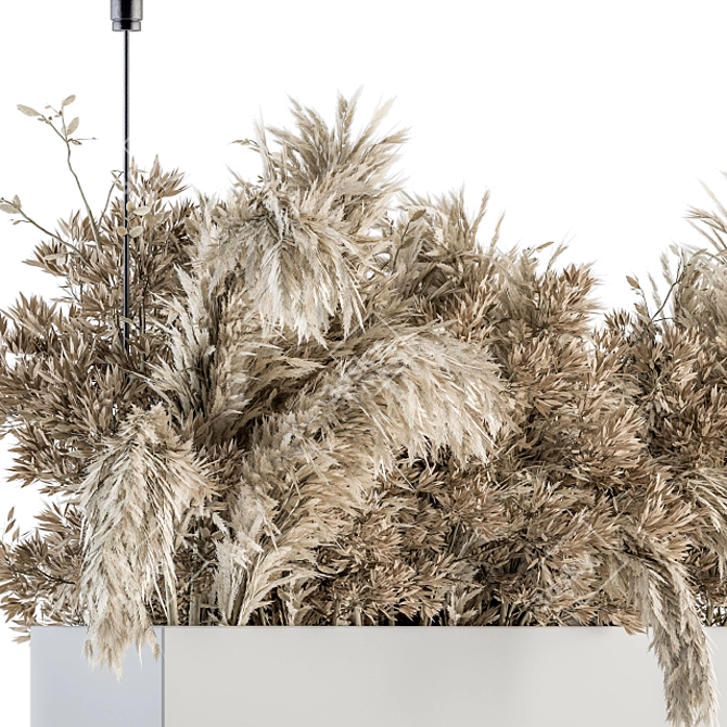 Eco Dried Plant Set 116 3D model image 3