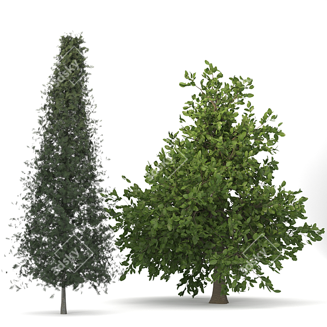 Orange Cypress Trees: Vray-Rendered 3D Models 3D model image 1
