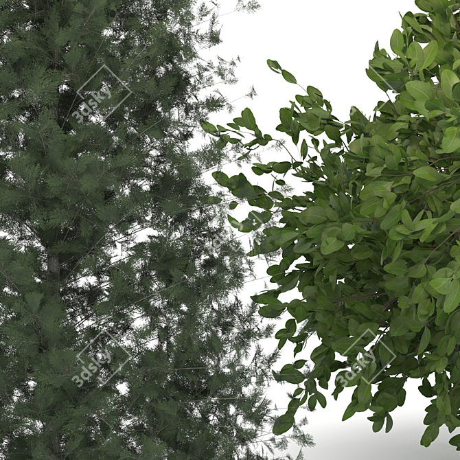 Orange Cypress Trees: Vray-Rendered 3D Models 3D model image 2