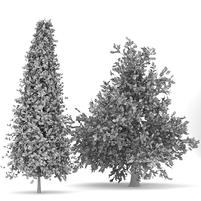 Orange Cypress Trees: Vray-Rendered 3D Models 3D model image 4