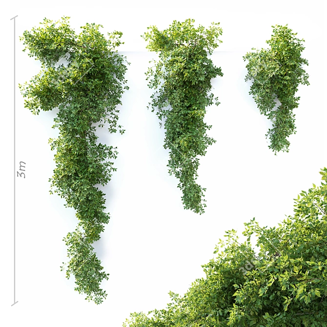  Hanging Plant Trio: 3m Height 3D model image 1