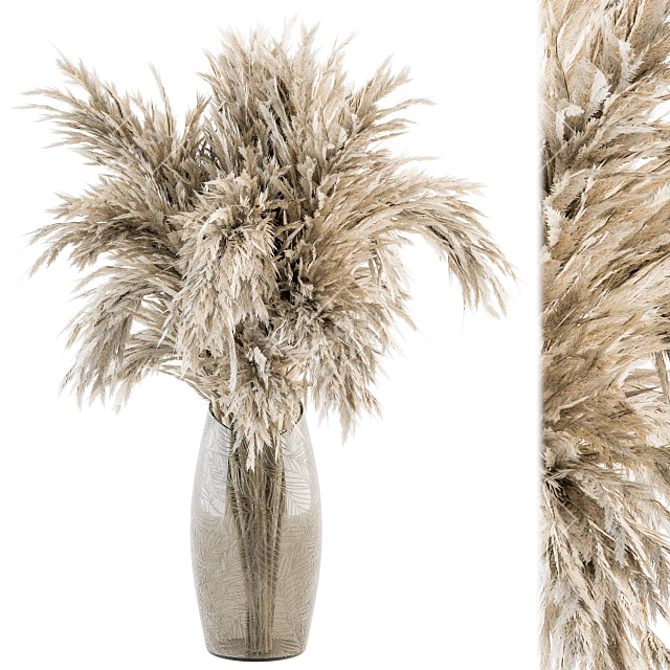 Dried Pampas Bouquet - Dry Plants 3D model image 1