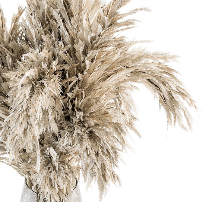 Dried Pampas Bouquet - Dry Plants 3D model image 3