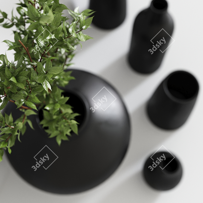 Elegant Black Vases Set with Pampa Grass 3D model image 3