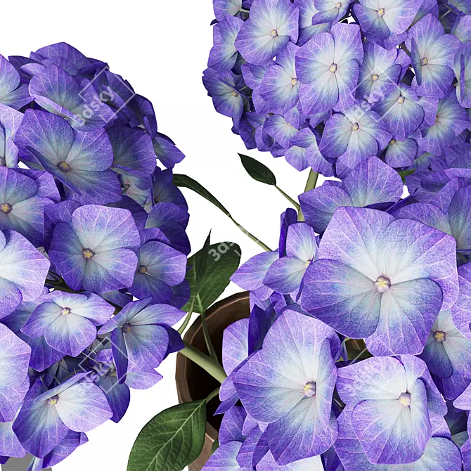 Elegant Hydrangea Branches Vase 3D model image 4