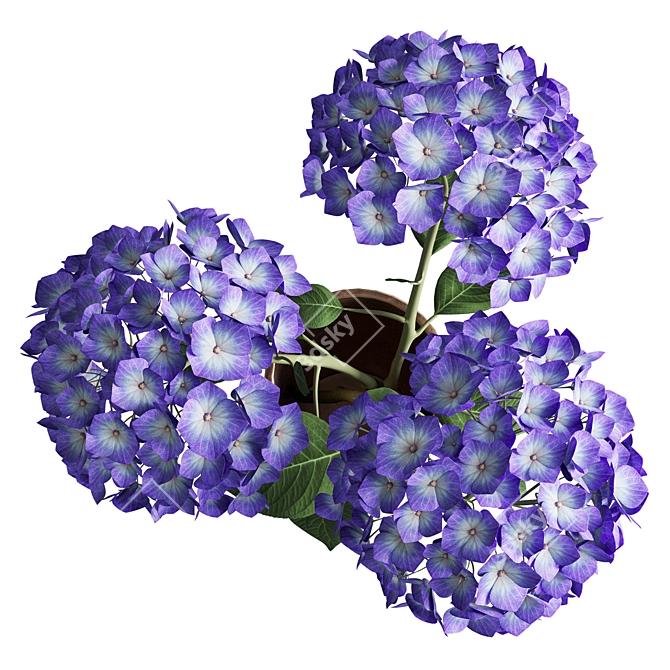 Elegant Hydrangea Branches Vase 3D model image 13