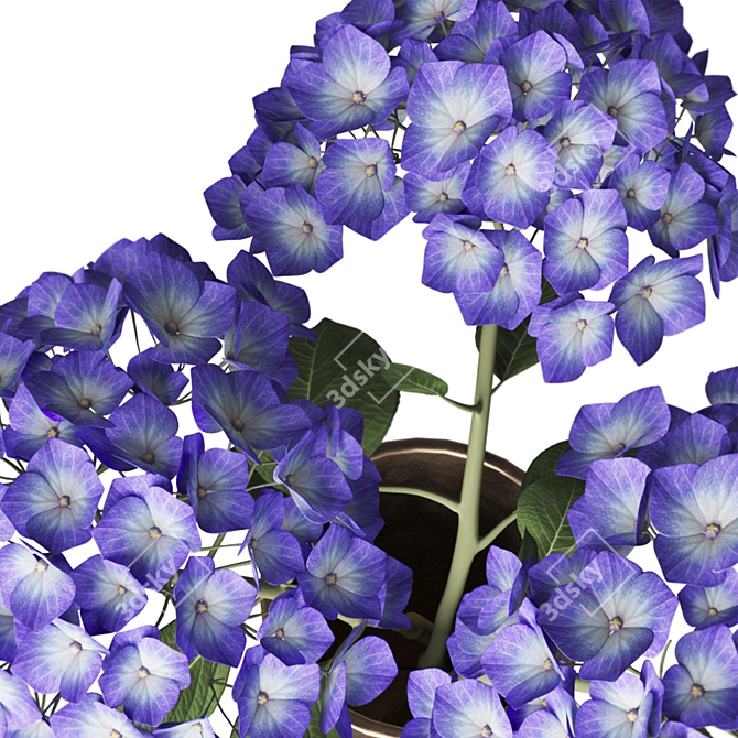 Elegant Hydrangea Branches Vase 3D model image 24