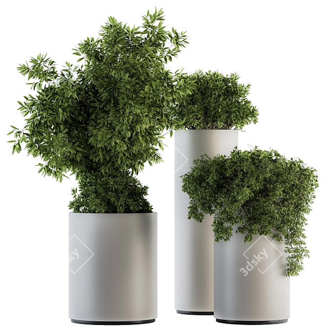 Green and White Indoor Plant Set 3D model image 1
