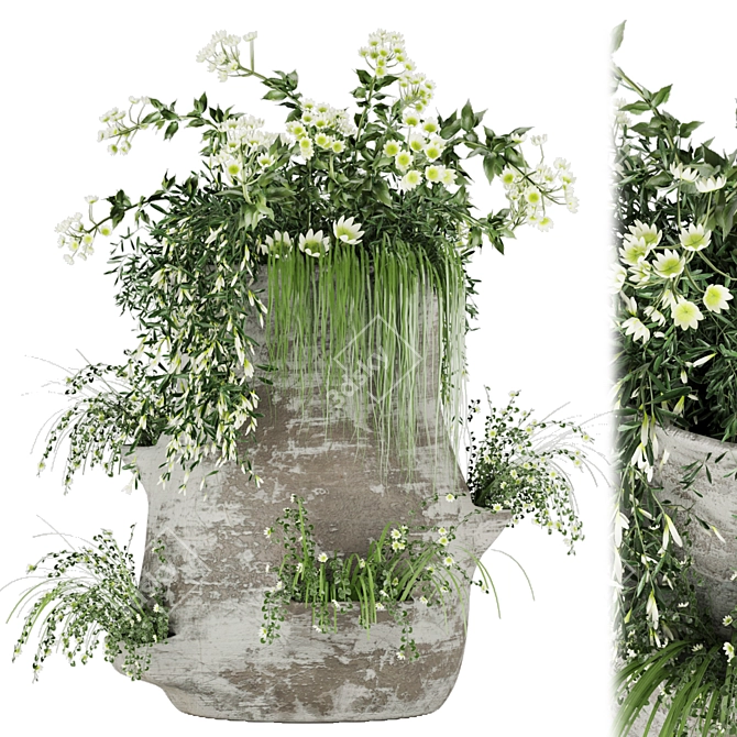 Botanical Delights: Vol. 35 Floral Collection 3D model image 1