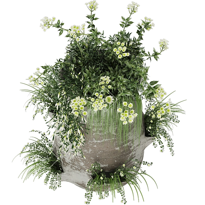 Botanical Delights: Vol. 35 Floral Collection 3D model image 3