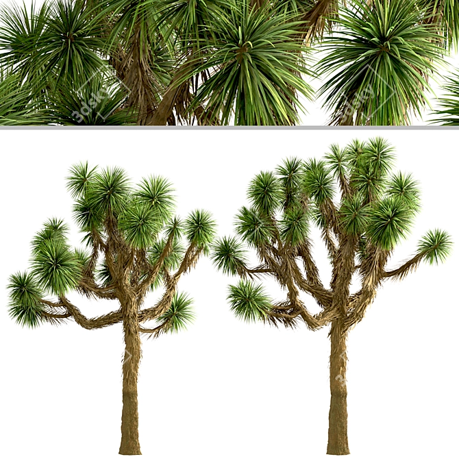 Desert Majesty: Set of 3 Joshua Trees 3D model image 5