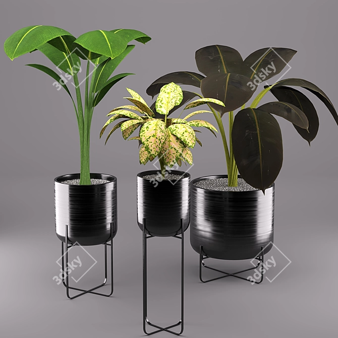 Modern Black Pot Trio 3D model image 1