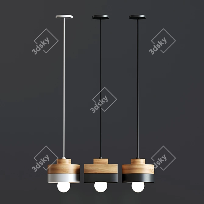 Title: Stylish Pendant Lamp - Illuminate in Elegance! 3D model image 3