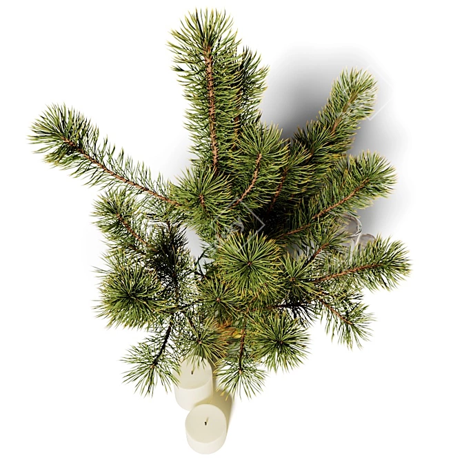 Winter Pine Branch Bouquet 3D model image 2