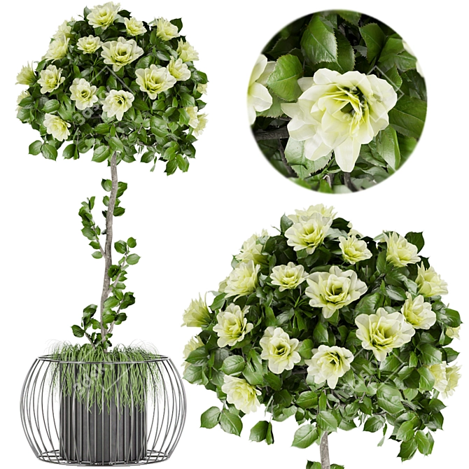 Elevate Your Space with Collection Plant Vol. 37 3D model image 1