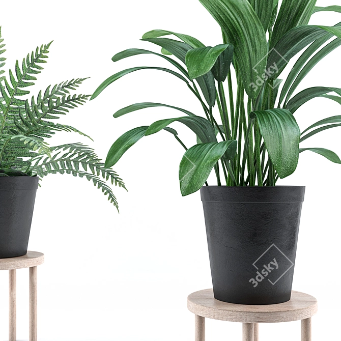 Botanical Oasis: A Vibrant Plant Collection 3D model image 2