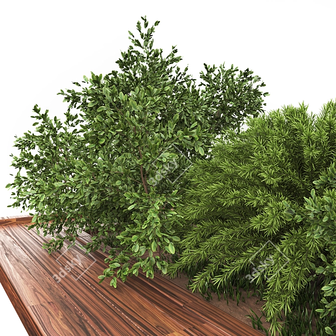 Garden Oasis Bush and Tree Set 3D model image 2