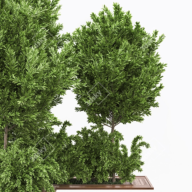 Garden Oasis Bush and Tree Set 3D model image 2