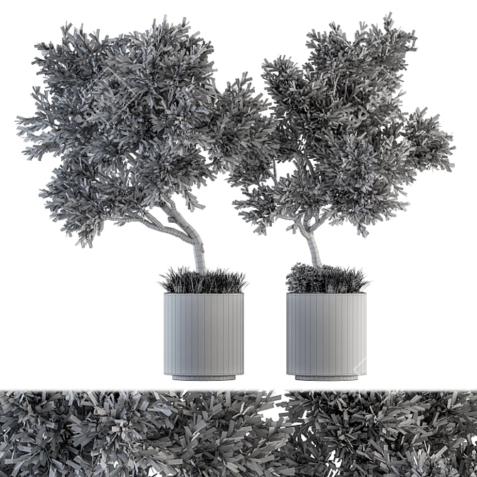 Indoor Oasis: Tree in Pot 3D model image 5