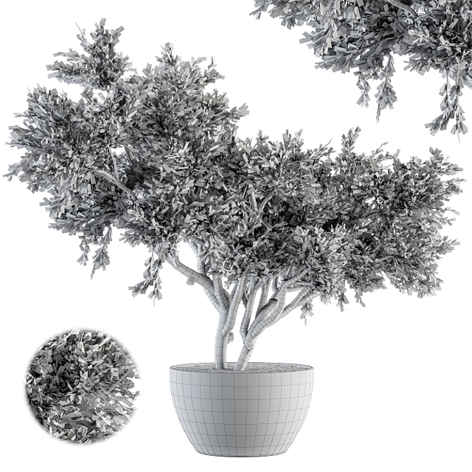 Outdoor Greenery Set - Concrete Pot 3D model image 5