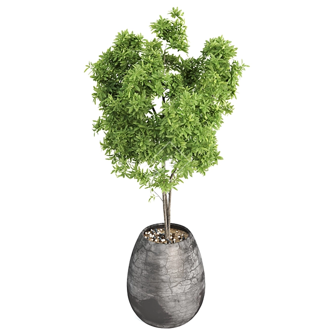 Greenery Delight: Outdoor Plant 3D model image 2