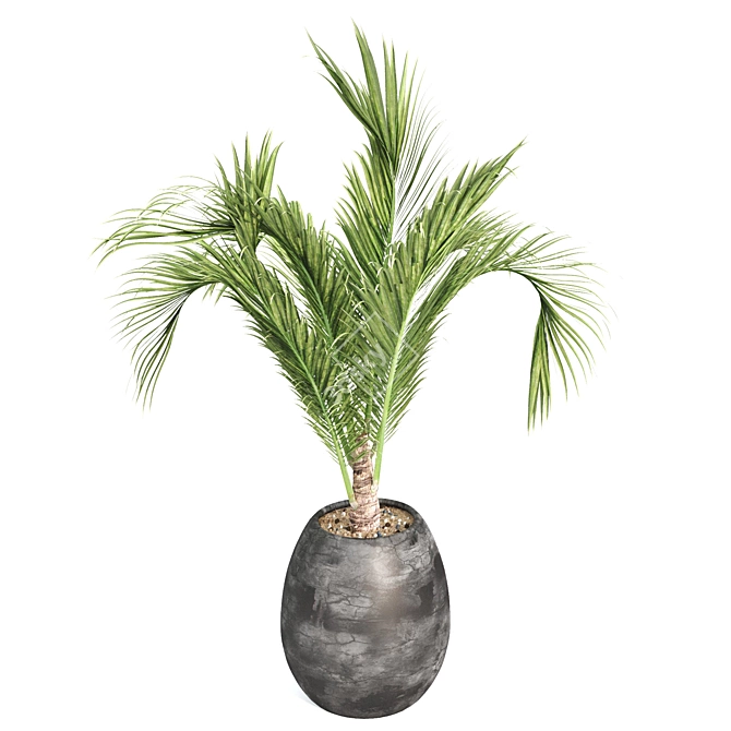 Greenery Delight: Outdoor Plant 3D model image 5