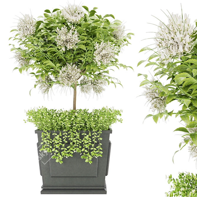 Premium Plant Collection Vol. 39 3D model image 1