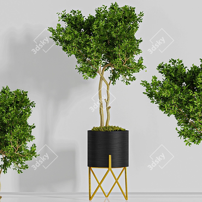 3D Plant Indoor03: Lifelike and Versatile 3D model image 3