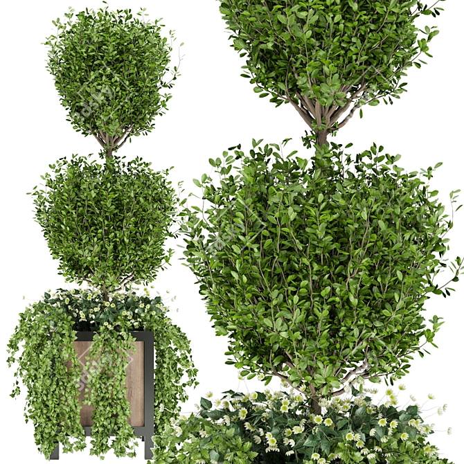 Elevate Your Space: Collection Plant Vol. 41 3D model image 1