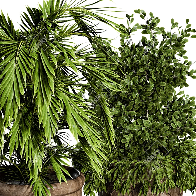 Realistic Plant Model for 3D Rendering 3D model image 2