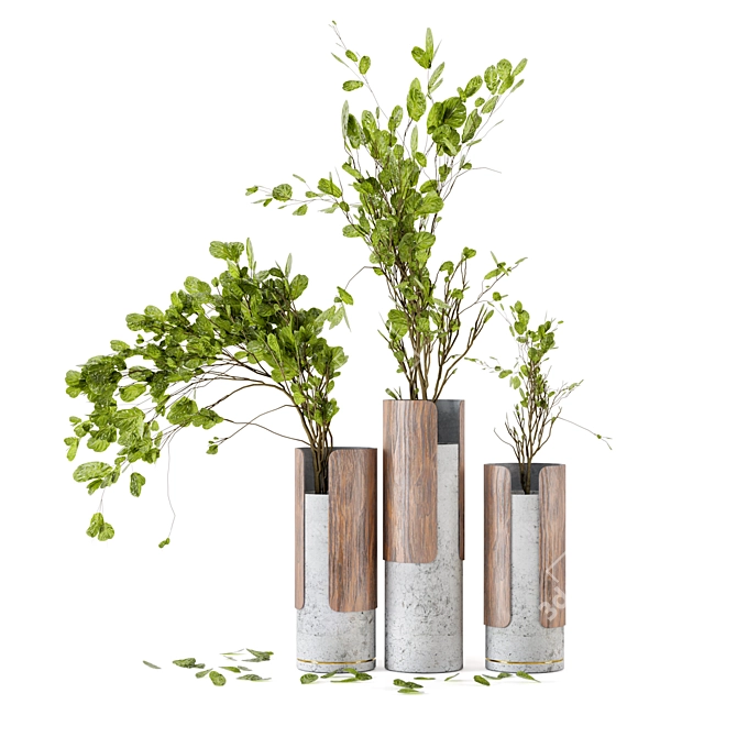 Wood & Concrete Vase Indoor Plants 3D model image 2