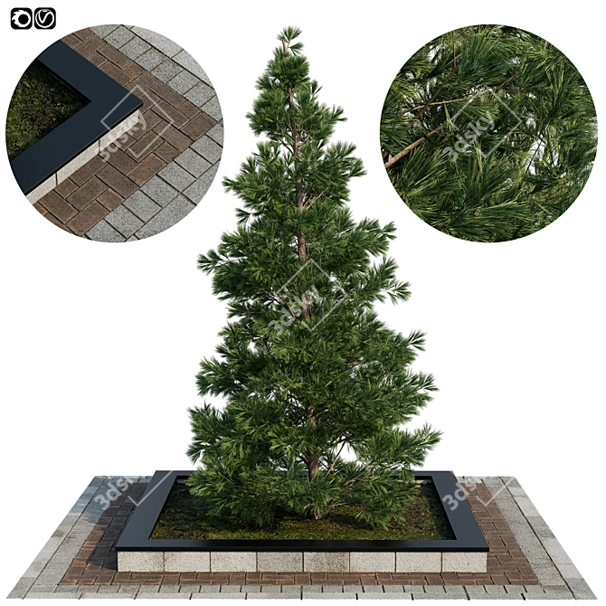 Realistic Pine Tree Set: 3D Model 3D model image 1